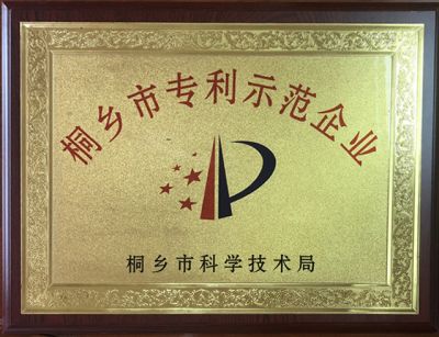 桐鄉市專(zhuān)利示范企業(yè)